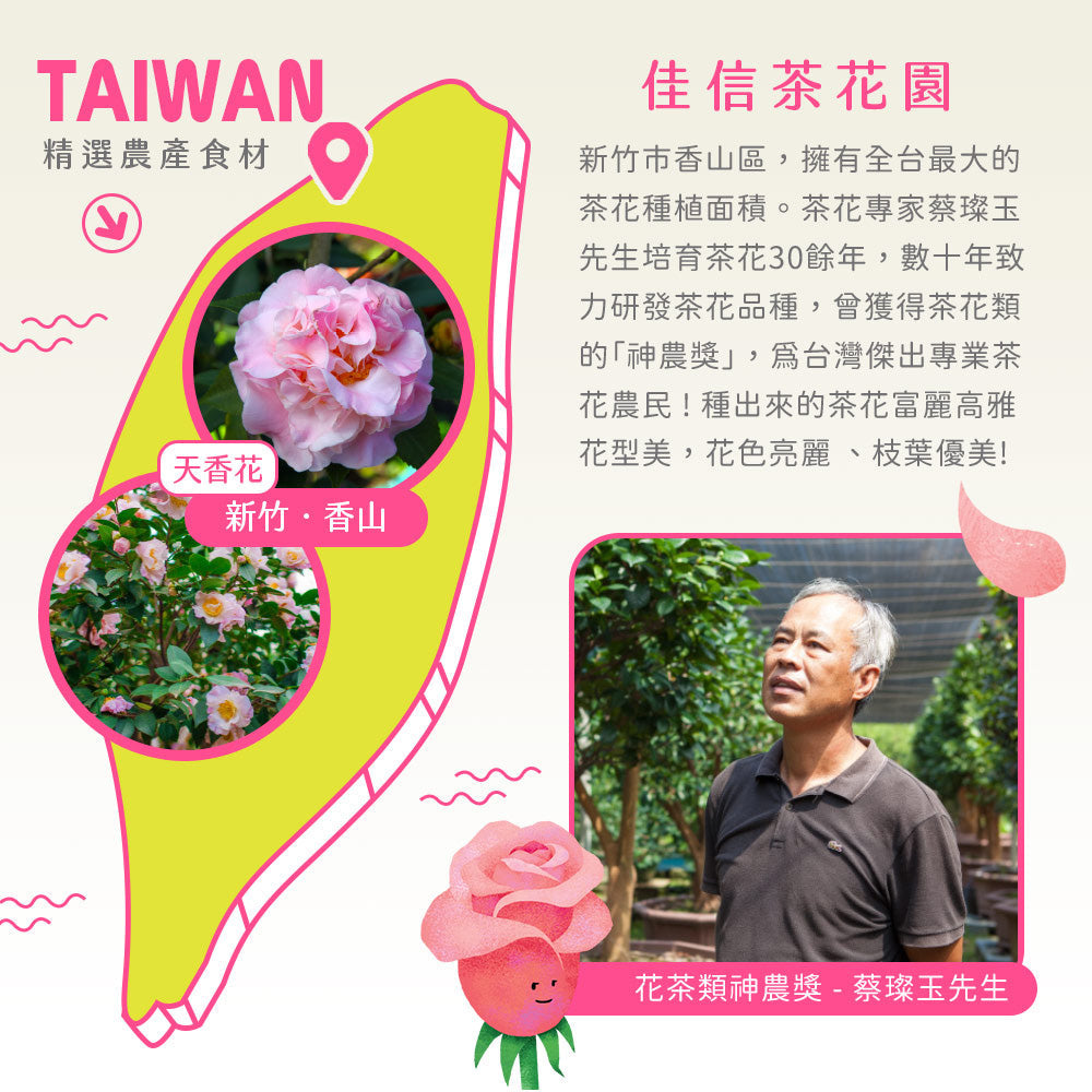 【天香玫瑰神顏茶】天香花 × 無農藥洛神|7入 – 講果語FRUITWHISPER