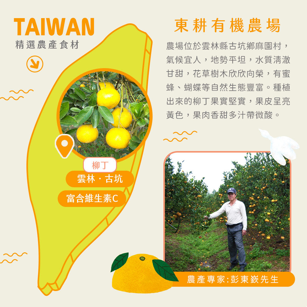 香橙決明仙纖水