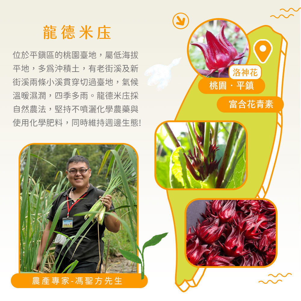 香橙決明仙纖水
